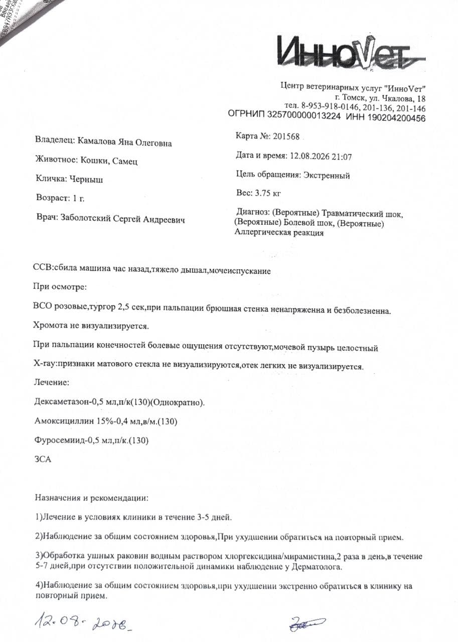 Описание изображения