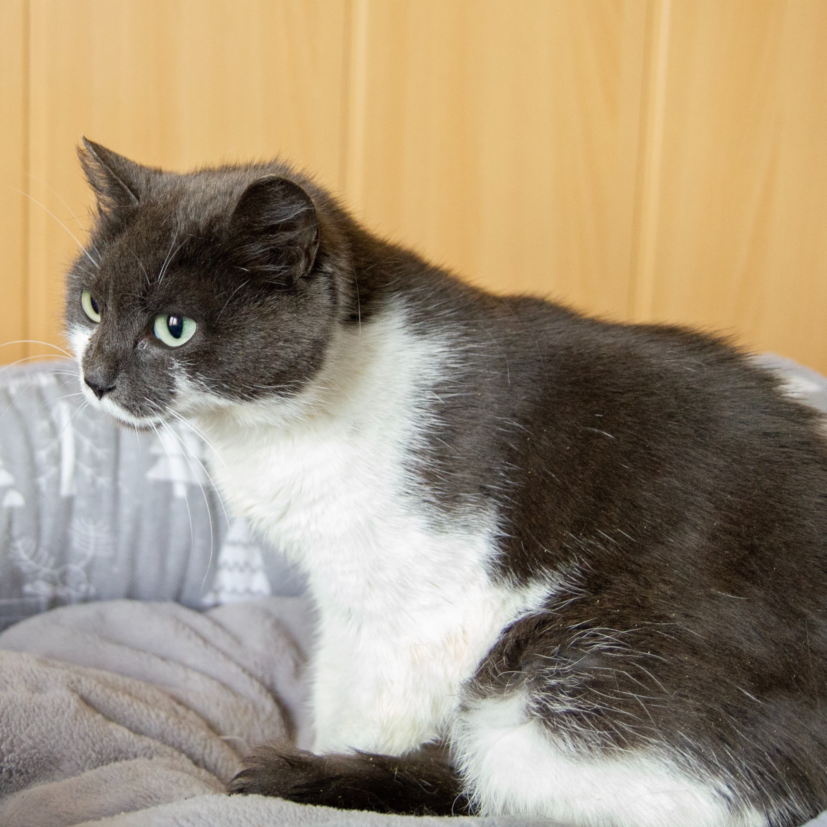 Иветта — фото 3