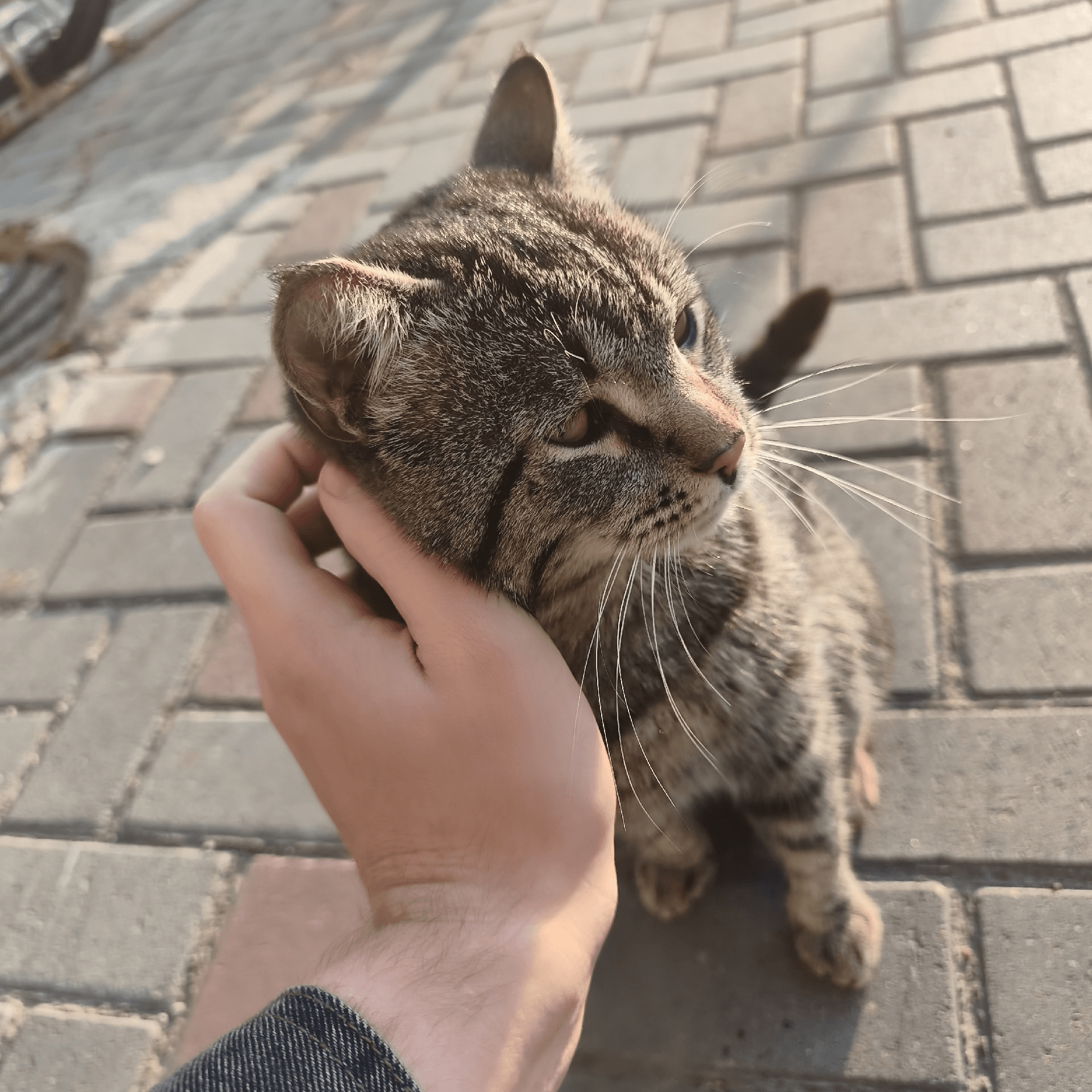 Без имени