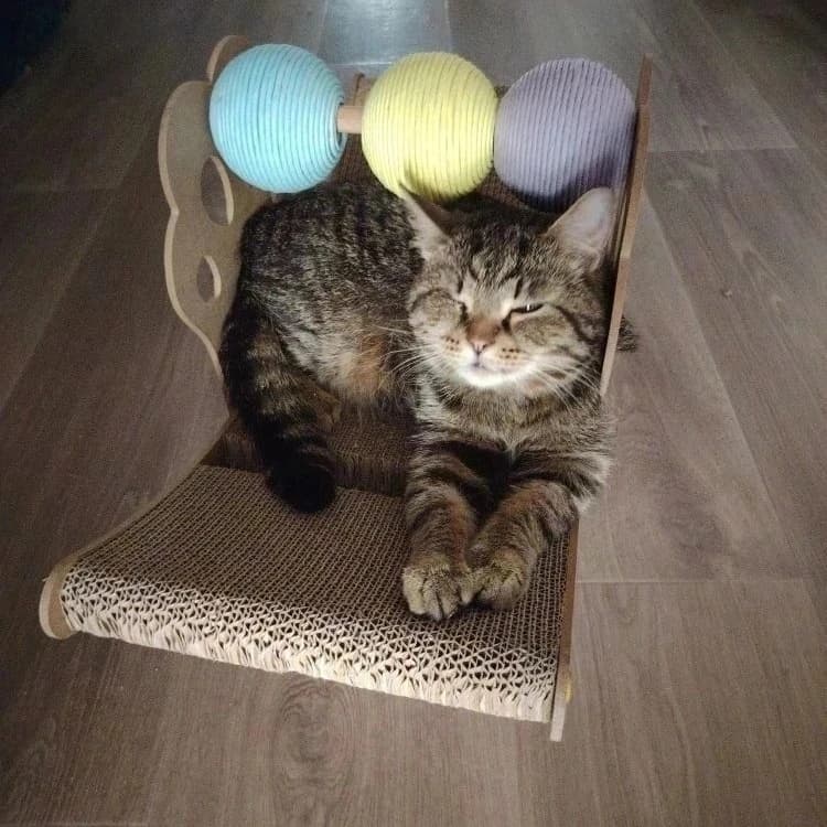 Каспер